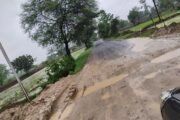 नवरगाव ते सिंदेवाही रोडच्या दरम्यान जीवघेणे खड्डे