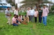 पुरोगामी पत्रकार संघटनेच्या वतीने सिंदेवाही पोलिस स्टेशन व मुस्लिम कब्रस्तान येथे वृक्षारोपण